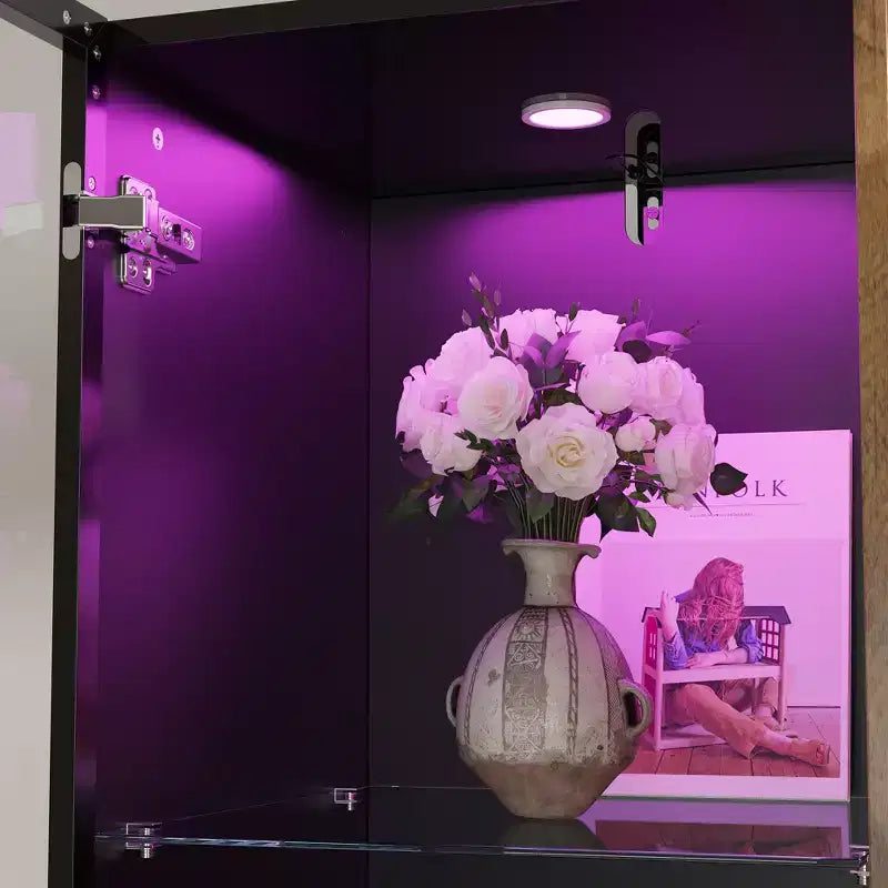 Bibliothèque-vitrine à LED avec portes en verre et en bois, rangement élégant pour la décoration et les livres, armoire autoportante