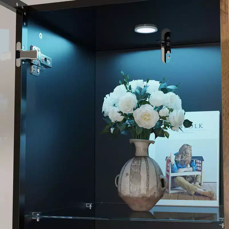 Bibliothèque-vitrine à LED avec portes en verre et en bois, rangement élégant pour la décoration et les livres, armoire autoportante